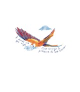 T-shirt Féminin Guacamaya